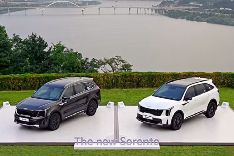 Xe được trang bị màn hình cong cỡ lớn kéo dài bao gồm 2 màn hình cùng kích thước 12,3 inch cung cấp thông tin về xe cũng như hiển thị hệ thống giải trí. Tại thị trường Hàn Quốc, Kia Sorento 2024 được cung cấp với 3 biến thể động cơ bao gồm máy xăng 2.5L tăng áp, máy dầu 2.2L và máy xăng hybrid 1.6L. Tại Việt Nam, Kia Sorento đang có giá bán dao động từ 1,06 - 1,3 tỷ đồng.