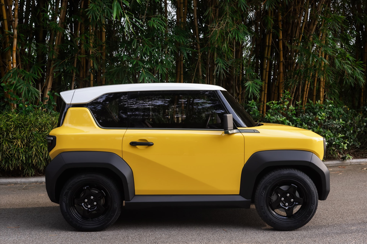 Do đó, giá trị thực tế của VF3 có thể chỉ rơi vào khoảng 12.500 USD (tương đương 300 triệu đồng). Về lý do tại sao các đại lý ở Hoa Kỳ muốn có một chiếc xe mini trong một thị trường mà người tiêu dùng có xu hướng ưa chuộng xe cỡ lớn, ông Hale chỉ ra hai yếu tố đó là "mức giá cạnh tranh dẫn đầu thị trường và nhóm khách hàng trẻ tuổi".