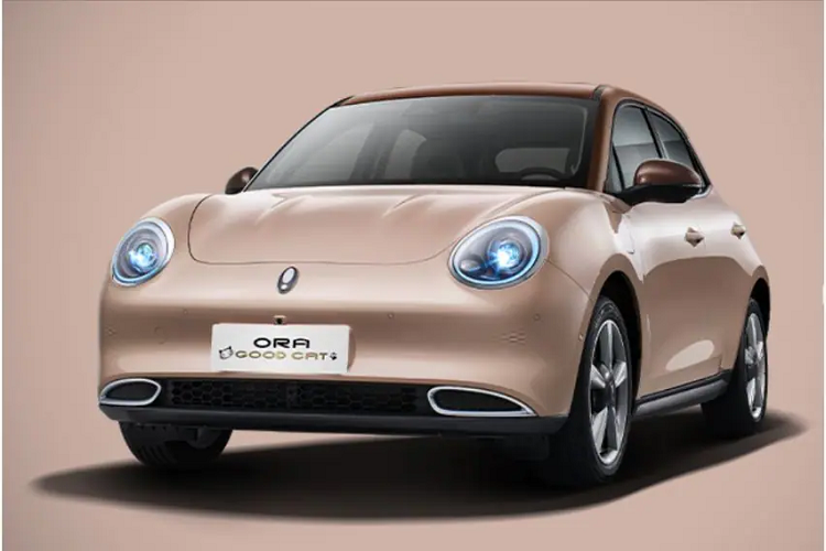 Mô-tơ điện này kết hợp với pin lithium-ion photphat (LFP) với dung lượng 47,8 kWh ở bản Pro và pin lithium Ternary 63,1 kWh ở bản Ultra. Quãng đường di chuyển của xe sau khi sạc đầy pin ở 2 phiên bản lần lượt là 400 km và 500 km theo chu trình thử nghiệm NEDC.