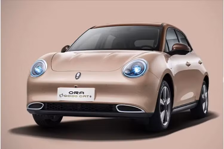 Mô-tơ điện này kết hợp với pin lithium-ion photphat (LFP) với dung lượng 47,8 kWh ở bản Pro và pin lithium Ternary 63,1 kWh ở bản Ultra. Quãng đường di chuyển của xe sau khi sạc đầy pin ở 2 phiên bản lần lượt là 400 km và 500 km theo chu trình thử nghiệm NEDC.