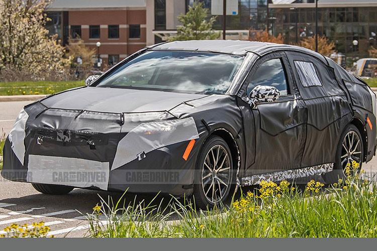 Hiện Toyota Camry đã bị "khai tử" tại thị trường Nhật Bản do doanh số kém. Tuy nhiên, ở nhiều thị trường trên thế giới, mẫu xe này vẫn tiếp tục được phân phối và gặt hái thành công. Cả ở Mỹ và Việt Nam, Toyota Camry đều là mẫu sedan hạng D bán chạy nhất.