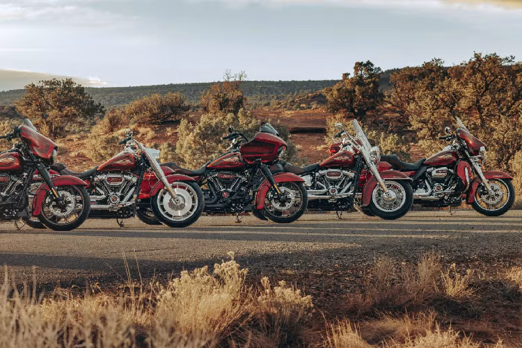 Harley-Davidson phiên bản kỷ niệm 120 năm được sản xuất giới hạn trên toàn thế giới. Cụ thể, Softails sẽ được sản xuất nhiều nhất với 3.000 xe Fat Boy 114 Anniversary và 1.700 chiếc Heritage Classic 114 Anniversary.