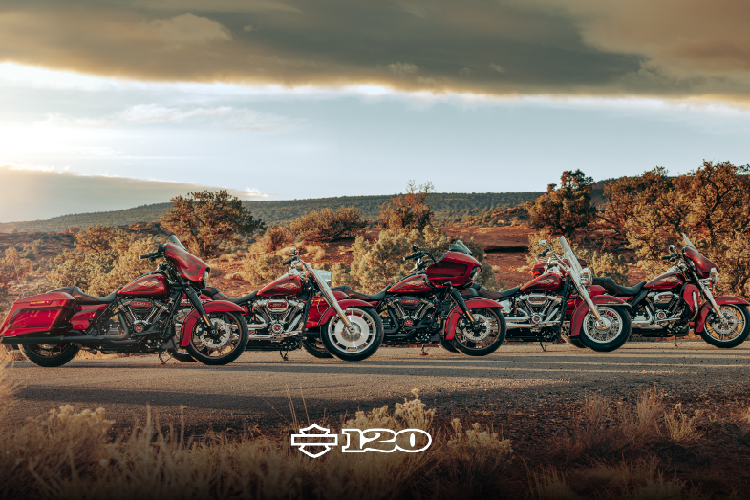Tháng 1 năm nay, Harley-Davidson đã giới thiệu bộ sưu tập "120th Anniversary 2023" với 7 mẫu xe đặc biệt, gồm: Fat Boy 114 Anniversary, Heritage Classic 114 Anniversary, Street Glide Special Anniversary, Ultra Limited Anniversary, Road Glide Special Anniversary, Tri Glide Ultra Anniversary và CVO Road Glide Limited Anniversary 117ci.