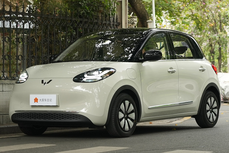 Tại thị trường Trung Quốc, đối thủ cạnh tranh chính của Wuling Bingo là BYD Seagull . BYD Seagull được ra mắt vào cuối tháng 4, với mẫu cơ sở cung cấp phạm vi hoạt động 305 km và có giá 73.800 nhân dân tệ. Về hiệu suất bán hàng, BYD Seagull đã bán được 14.300 xe trong tháng 5.