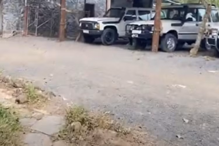 Sau khi ra về, 1 người giữ xe máy ở đây chia sẻ siêu xe hay xe thể thao chưa từng xuất hiện ở đây trong hơn 1 năm qua, từ khi anh làm việc. Garage được cố định bằng cây chụm vào nhau làm trụ, trên trần có thanh sắt và tôm lột cùng bảng hiệu "Tour xe siêu địa hình - băng rừng vượt thác".