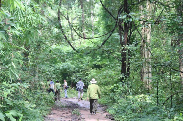 Binh Thuan thong tin vu chuyen doi hon 600ha rung lam ho thuy loi Ka Pet-Hinh-5