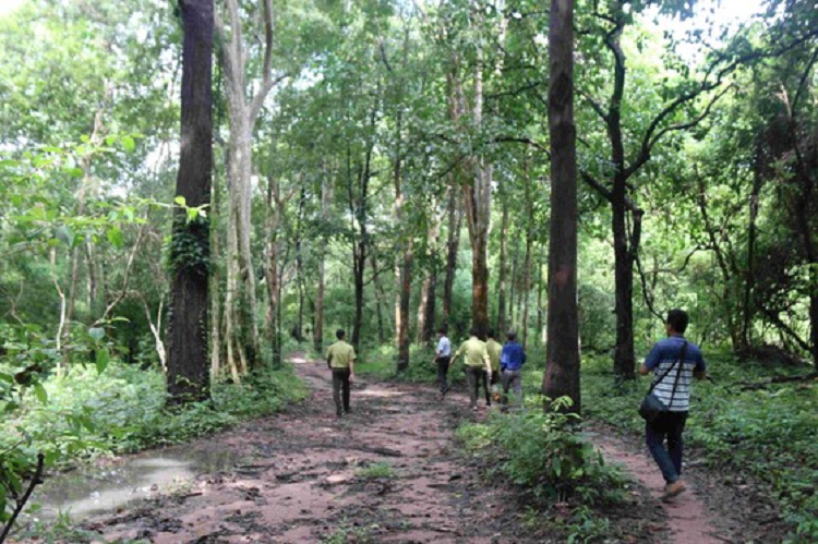 Binh Thuan thong tin vu chuyen doi hon 600ha rung lam ho thuy loi Ka Pet-Hinh-3