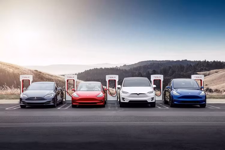 Tesla bo sung them tinh nang lai bang mot ban dap-Hinh-2