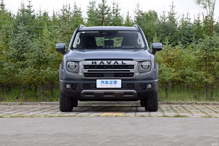 Big Dog đóng vai trò mở màn cho những mẫu SUV của Haval được đặt tên liên quan đến loài động vật thân thiết với con người. Ngoài Big Dog, hãng Haval còn có Big Dog II và Cool Dog. Trong tương lai, Haval dự kiến còn tung ra hàng loạt mẫu xe với phong cách đặt tên tương tự như Beta Dog, Alpha Dog, Delta Dog, Epsilon Dog và Gamma Dog.