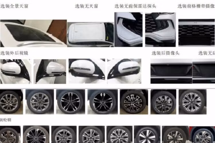 Hệ truyền động của xe sẽ có động cơ plug-in hybrid với động cơ xăng, 4 xi-lanh, dung tích 1.5 lít, hút khí tự nhiên do BYD sản xuất có công suất 109 mã lực và một động cơ điện truyền động có công suất 145 kW, khoảng 194 mã lực. Thông số kỹ thuật của pin chưa được công bố.