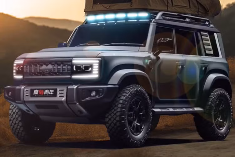 Vào hồi cuối tháng 5/2023, hãng BYD đã ra mắt thương hiệu con mới mang tên Fang Cheng Bao tại thị trường Trung Quốc. Fang Cheng Bao sẽ được định vị cao hơn thương hiệu Denza nhưng thấp hơn YangWang của hãng BYD.