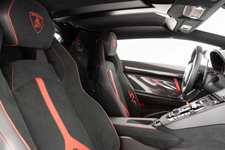 Khác với nhiều nhà sưu tập giữ bộ sưu tập của họ kín mít, Skolnick quyết định chia sẻ bộ sưu tập của mình với thế giới bằng cách mở The Ikonick Collection đặt tại Miami, Florida. The Ikonick Collection là một phần của phòng trưng bày nghệ thuật, nhà để xe và không gian tổ chức sự kiện.