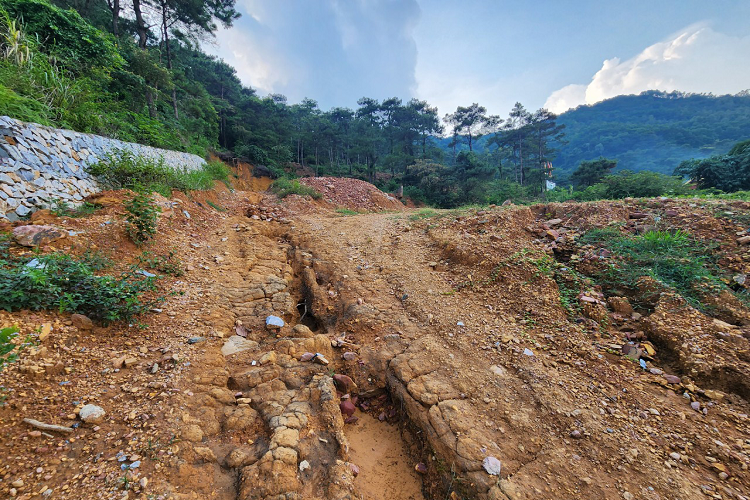 Nếu huyện Sóc Sơn và TP Hà Nội không có biện pháp xử lý mạnh tay với những công trình sai phạm hiện nay thì tình trạng vi phạm đất rừng có thể sẽ nghiêm trọng như trước thời điểm Thanh tra TP ban hành kết luận. Cây xanh và thảm thực vật bị "cạo trọc", nhiều khu vực quanh hồ Đồng Đò bị xói mòn.