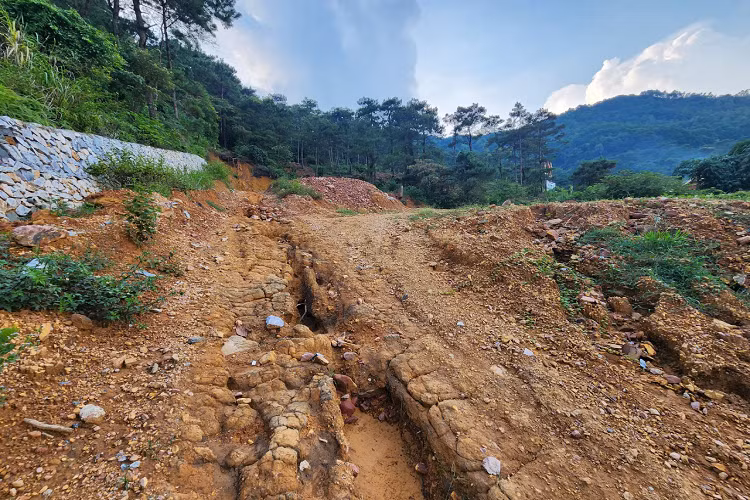 Nếu huyện Sóc Sơn và TP Hà Nội không có biện pháp xử lý mạnh tay với những công trình sai phạm hiện nay thì tình trạng vi phạm đất rừng có thể sẽ nghiêm trọng như trước thời điểm Thanh tra TP ban hành kết luận. Cây xanh và thảm thực vật bị "cạo trọc", nhiều khu vực quanh hồ Đồng Đò bị xói mòn.