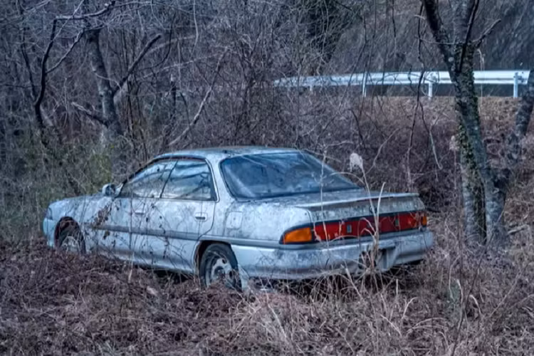 JDM là từ viết tắt của cụm Japanese Domestic Market, được dùng để chỉ các mẫu xe được thiết kế và sản xuất riêng cho thị trường Nhật Bản. Những mẫu xe này thường có thiết kế đặc trưng, hiệu suất cao và giá tương đối hợp lý.