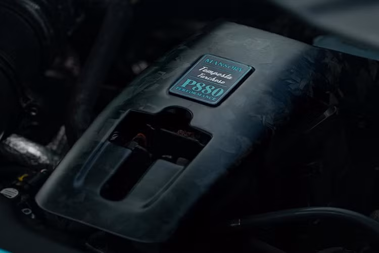 Tuy nhiên, khi qua tay các kỹ sư của hãng độ Mansory, chiếc F8 Spider độ này đã được gia tăng sức mạnh lên 880 mã lực và mô-men xoắn cực đại 960 Nm. Sức mạnh này giúp xe có khả năng tăng tốc từ 0 lên 100 km/h chỉ trong 2,6 giây, trước khi đạt vận tốc tối đa 354 km/h.