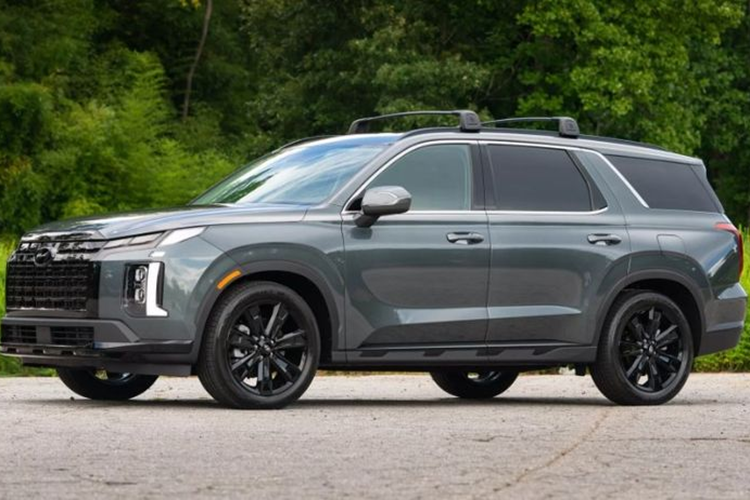 Trong một cuộc phỏng vấn với giới báo chí tại Triển lãm ô tô Los Angeles, Phó chủ tịch phụ trách kế hoạch sản phẩm của Hyundai, Olabisi Boyle đã xác nhận rằng Hyundai Palisade thế hệ mới đang được thiết kế lại hoàn toàn, tương tự cách mà hãng đã làm để tạo ra SantaFe 2024.