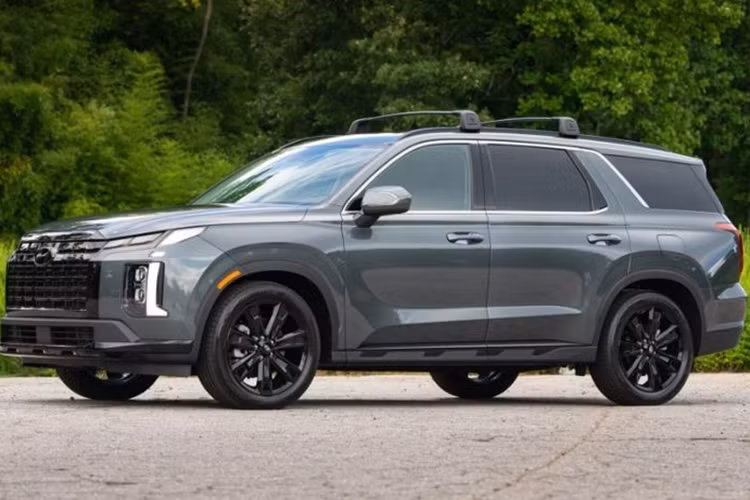 Trong một cuộc phỏng vấn với giới báo chí tại Triển lãm ô tô Los Angeles, Phó chủ tịch phụ trách kế hoạch sản phẩm của Hyundai, Olabisi Boyle đã xác nhận rằng Hyundai Palisade thế hệ mới đang được thiết kế lại hoàn toàn, tương tự cách mà hãng đã làm để tạo ra SantaFe 2024.