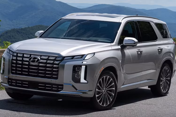 Boyle gợi ý rằng những thay đổi về mặt hình ảnh đối với Palisade thế hệ tiếp theo sẽ ấn tượng không kém những thay đổi đối với Hyundai Santa Fe mới. Tuy nhiên, cho tới thời điểm hiện tại, vẫn chưa có bất cứ hình ảnh nào về Palisade thế hệ mới được xác nhận.