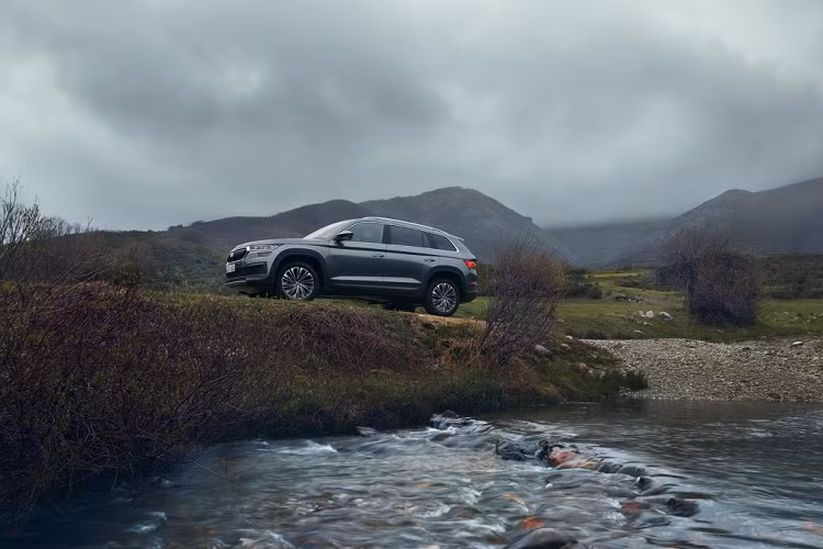 Skoda Kodiaq va Karoq co gi de 