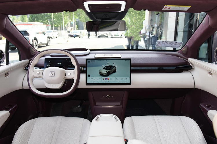 Khách hàng chọn mua xe SUV điện Zeekr X sẽ được cung cấp hai tùy chọn động cơ điện. Đầu tiên là mô-tơ phía sau công suất 200 kW (272 mã lực), giúp xe tăng tốc từ 0 lên 100 km/h trong 5,8 giây. Tiếp đến là có hai mô-tơ điện với tổng công suất đầu ra là 315 kW (428 mã lực), cho phép tăng tốc từ 0 đến 100 nhanh hơn trong 3,7 giây. 