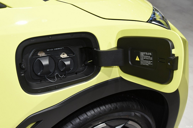 Tại thị trường Trung Quốc, Seagull được định vị thấp hơn đàn anh BYD Dolphin đồng thời cạnh tranh với những đối thủ như Wuling Bingo.