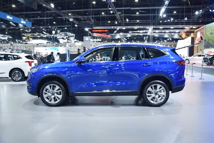 Haval H6 dành cho Việt Nam dự kiến sẽ được nhập khẩu nguyên chiếc từ Thái Lan. Hiện GWM đang sản xuất xe ở nhà máy cũ của tập đoàn General Motors tại Thái Lan. Được định vị trong phân khúc SUV cỡ C, Haval H6 sở hữu chiều dài 4.653 mm, chiều rộng 1.886 mm, chiều cao 1.730 mm, chiều dài cơ sở 2.738 mm và chiều cao gầm 175 mm. Mẫu xe này sẽ là đối thủ của những cái tên như Honda CR-V, Mazda CX-5, Hyundai Tucson và Kia Sportage ở Việt Nam.