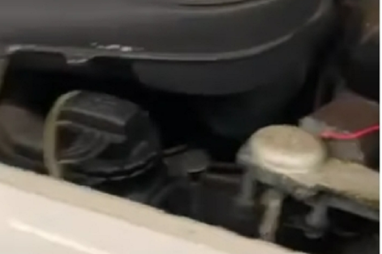 Xe được sản xuất từ năm 1959 đến 1962 thì ngừng sản xuất. Chiếc Bentley S2 của Hoàng Kim Khánh sở hữu có màu sơn trắng, điểm các chi tiết chrome sang trọng.