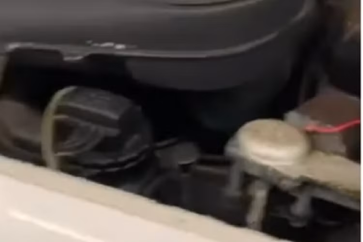 Xe được sản xuất từ năm 1959 đến 1962 thì ngừng sản xuất. Chiếc Bentley S2 của Hoàng Kim Khánh sở hữu có màu sơn trắng, điểm các chi tiết chrome sang trọng.