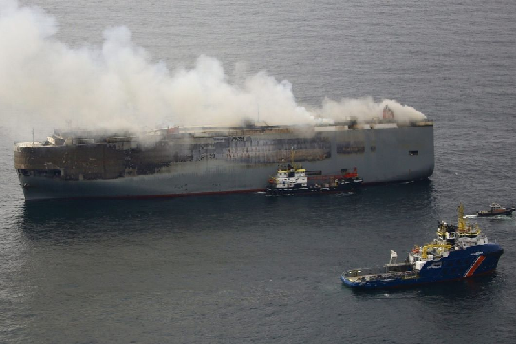 Có suy đoán cho rằng ngọn lửa bắt nguồn từ một chiếc xe điện chạy bằng pin ( BEV). Hình ảnh tại hiện trường cho thấy ngọn lửa đã thiệu rụi gần như mọi thứ nên rất khó để nhận diện chính xác những chiếc xe trong ảnh là xe gì, của hãng nào.