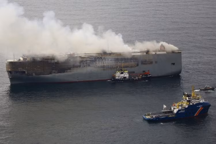 Có suy đoán cho rằng ngọn lửa bắt nguồn từ một chiếc xe điện chạy bằng pin ( BEV). Hình ảnh tại hiện trường cho thấy ngọn lửa đã thiệu rụi gần như mọi thứ nên rất khó để nhận diện chính xác những chiếc xe trong ảnh là xe gì, của hãng nào.