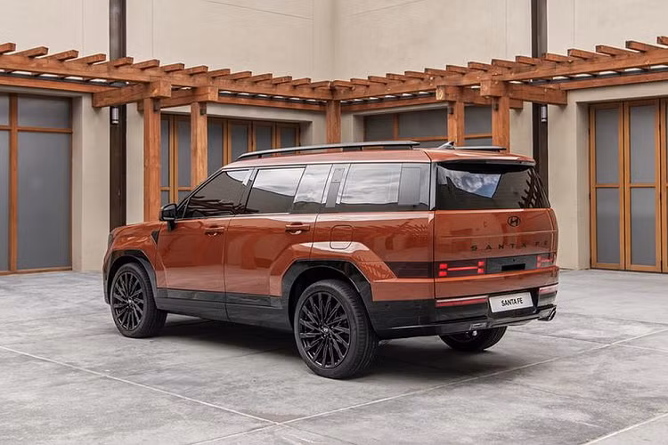 Nhiều người cho rằng khu vực này có thiết kế quá đơn điệu, trái ngược hoàn toàn so với đầu xe và sườn xe. Tuy nhiên, hãng Hyundai cho rằng toàn bộ các chi tiết trên xe đều được thiết kế để không đối lập với nhau. Khu vực đuôi xe với cửa cốp thẳng đứng và bằng phẳng vốn được thiết kế tập trung chủ yếu vào cảm giác rộng rãi chứ không phải để lắp thêm lốp dự phòng như Land Rover Defender hay Jeep Wrangler.