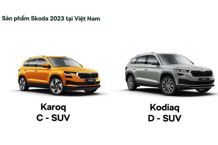 Skoda Kodiaq va Karoq co gi de 