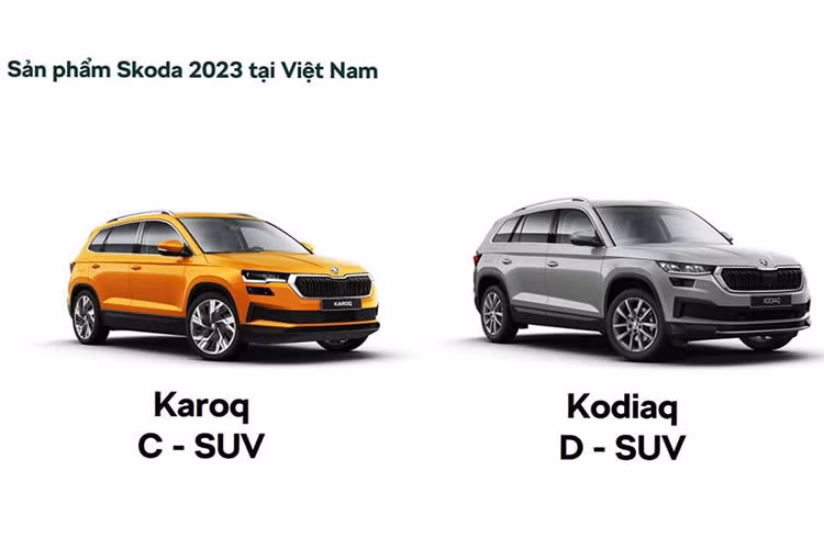 Skoda Kodiaq va Karoq co gi de 
