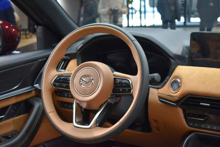 Bên trong xe là nội thất 5 chỗ ngồi với thiết kế khá sang trọng nhờ chất liệu da và ốp gỗ. Những trang bị nội thất nổi bật của xe bao gồm bảng đồng hồ kỹ thuật số với màn hình màu TFT-LCD, màn hình hiển thị thông tin kính lái HUD và màn hình cảm ứng trung tâm 10,25 inch hoặc 12,3 inch, hỗ trợ Android Auto/Apple CarPlay.