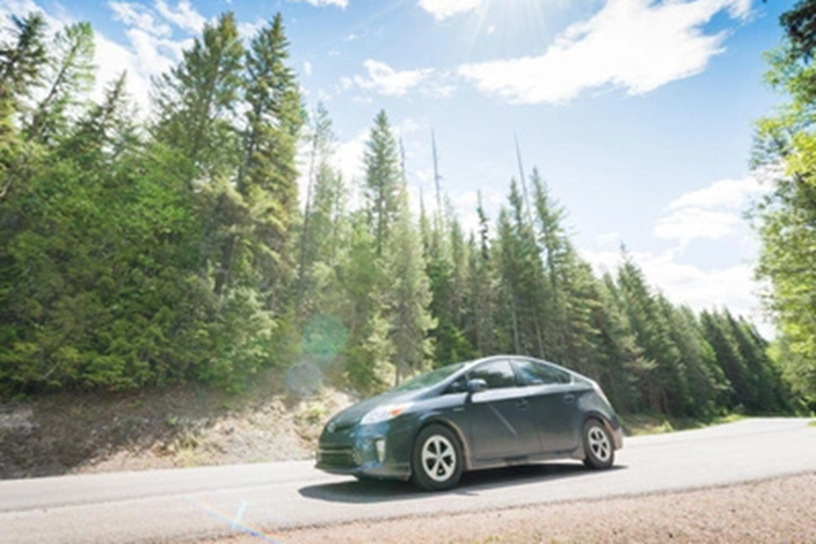 Theo các chuyên gia iSeecars, mẫu xe này có độ an toàn và tin cậy cao nên là sự lựa chọn thiết thực cho các gia đình. Có khoảng 9,8% người mua Subaru Forester đều giữ lại và sử dụng mẫu xe này hơn 15 năm.