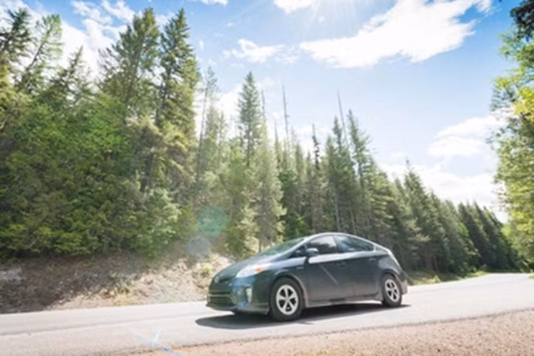 Theo các chuyên gia iSeecars, mẫu xe này có độ an toàn và tin cậy cao nên là sự lựa chọn thiết thực cho các gia đình. Có khoảng 9,8% người mua Subaru Forester đều giữ lại và sử dụng mẫu xe này hơn 15 năm.