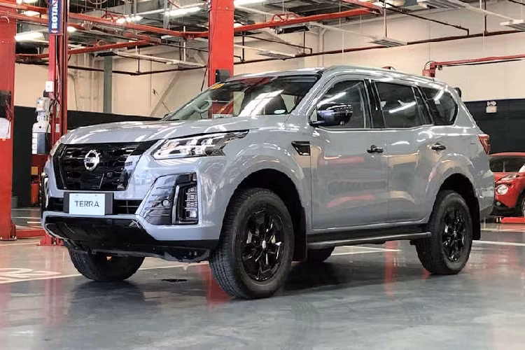 Có một số nguyên nhân dẫn đến nguy cơ Nissan Terra bị khai tử. Đầu tiên là xu hướng chuyển dịch sang ôtô điện. Thứ hai là hãng Nissan có lẽ muốn tập trung nguồn lực vào các mẫu crossover cỡ nhỏ và nhẹ hơn. Tuy nhiên, nguyên nhân chính dẫn đến việc Nissan Terra biến mất khỏi thị trường chính là doanh số thấp.