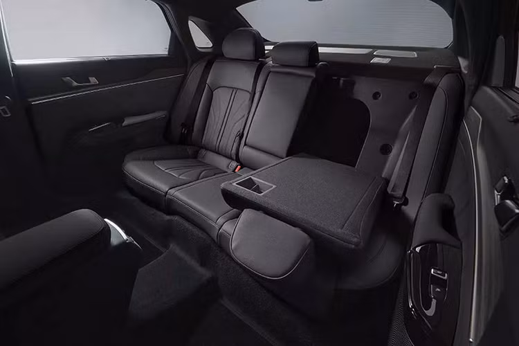 Những người thích chiếc Kia K5 có vẻ ngoài tối màu hơn có thể lựa chọn gói tùy chọn “Black Fit” bổ sung bộ la-zăng 18 inch hoặc 19 inch màu đen, trần xe bọc da lộn màu đen cùng với màu tối cho ốp gương, phía sau. bộ khuếch tán và ống xả.