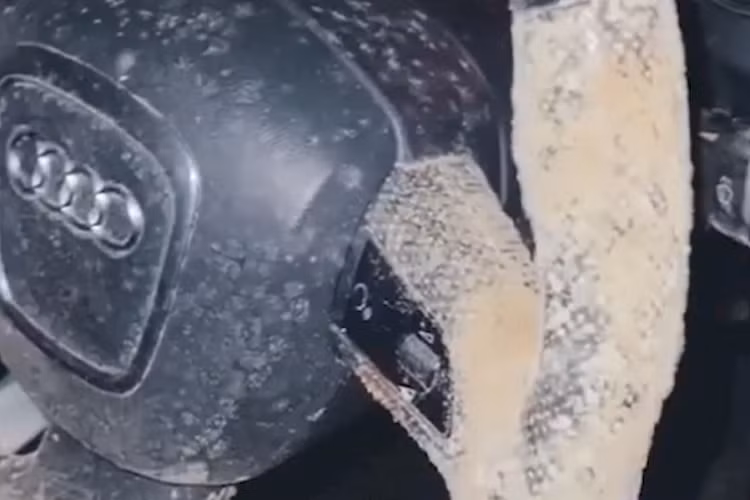 Ngay sau đó, Jess Davis đã lau qua chiếc xe trước khi mang đến chỗ sửa xe. Cô đã mất tới 160 bảng Anh (tương đương 4,6 triệu đồng) và gần 8 giờ đồng hồ để đợi thợ vệ sinh chiếc xe. Tuy nhiên ngay cả khi chiếc xe đã được vệ sinh sạch sẽ, nữ doanh nhân này cho biết cô vẫn cảm thấy có mùi khó chịu tỏa ra từ chiếc xe của mình.