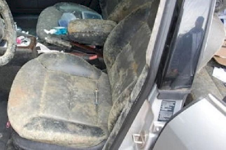 Bình luận dưới trang cá nhân của Jess Davis, nhiều người cũng tiết lộ họ đã rơi vào tình trạng tương tự. Một người dùng cho hay anh từng từng bị sốc khi nhìn thấy trại nấm sinh sôi bên trong ôtô của mình.