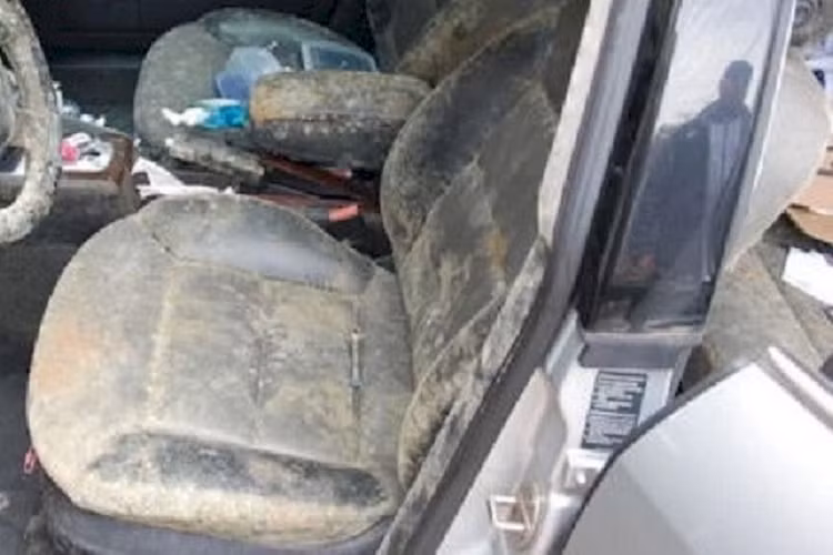 Bình luận dưới trang cá nhân của Jess Davis, nhiều người cũng tiết lộ họ đã rơi vào tình trạng tương tự. Một người dùng cho hay anh từng từng bị sốc khi nhìn thấy trại nấm sinh sôi bên trong ôtô của mình.