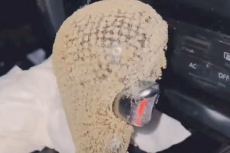 Nguyên nhân dẫn đến tình trạng nấm mốc bên trong nội thất của xe nhiều khả năng là do thay đổi thời tiết thất thường. “Ở Sydney, có những ngày rất nóng nhưng ngay sau đó nhiệt độ lại giảm xuống mức thấp đột ngột. Chính vì thế, nấm mốc đã có cơ hội sinh sôi khi tôi không sử dụng chiếc Audi thường xuyên”, Davis cho hay.