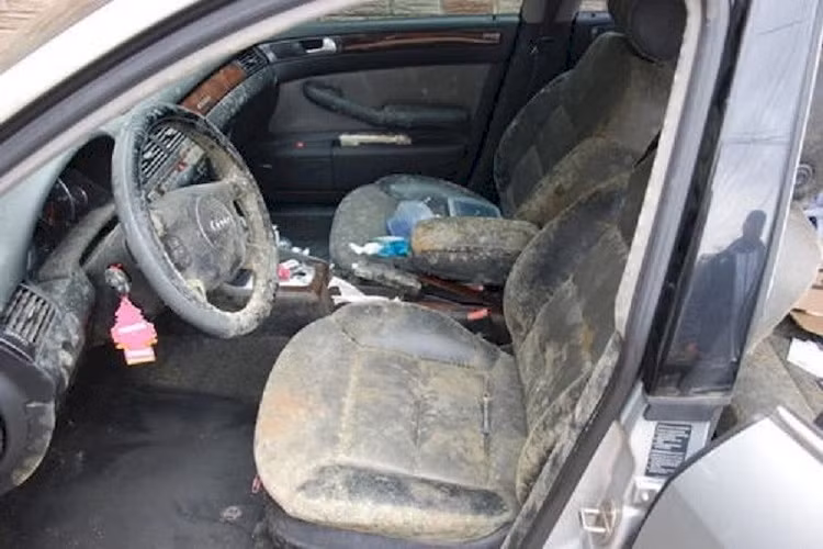 “Tôi không thể tin được điều này lại xảy ra. Khi tôi mở cửa ra, một mùi hôi ngay lập tức sộc vào mũi và nấm mốc đã phủ trắng xóa vô lăng, cần số và ghế ngồi. Cảm tưởng như có một khu rừng nhiệt đới đang sinh sôi, nảy nở bên trong chiếc xe Audi hạng sang vậy” - Jess Davis kể lại.