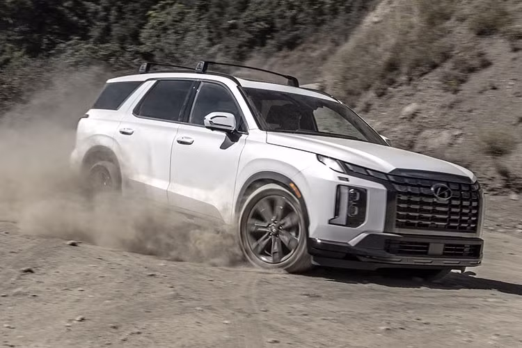 Theo nhân viên tư vấn bán hàng tại đại lý, Hyundai Palisade tại Việt Nam sẽ dùng động cơ xăng V6, dung tích 3.8L, sản sinh công suất tối đa 291 mã lực và mô-men xoắn cực đại 355 Nm. Động cơ kết hợp với hộp số tự động 8 cấp, hệ dẫn động 1 cầu hoặc 2 cầu. Cũng chưa rõ Hyundai Palisade và Custin sẽ được lắp ráp tại Việt Nam hay nhập khẩu nguyên chiếc. Hiện phần lớn các mẫu xe của Hyundai ở Việt Nam đều được lắp ráp trong nước.