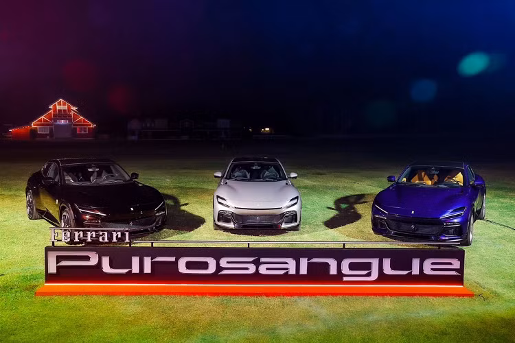 Siêu SUV Ferrari Purosangue 2023 có chung nền tảng với Roma, bố trí động cơ đặt giữa phía trước và hệ dẫn động 4 bánh. Theo Ferrari, dòng xe mới Purosangue không có đối thủ, tuy nhiên nhìn mặt bằng chung phân khúc siêu xe gầm cao thì Purosangue sẽ đấu trực diện Lamborghini Urus và Aston Martin DBX.