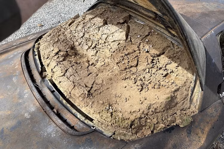 Kính lái và kính cửa sổ của chiếc xe đều bị vỡ nát, phần thân xe cũng không còn nguyên vẹn. Nội thất của chiếc Acura NSX chứa đầy bùn đất và cỏ dại. Ngoài ra, chiếc xe này còn bị mất cả động cơ.