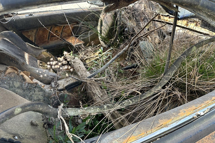 Ban đầu, chiếc Acura NSX được rao bán với giá 6.000 USD. Tuy nhiên, hiện đã có người đồng ý mua chiếc xe này với giá lên đến 8.500 USD (khoảng 201 triệu đồng). Chủ nhân mới của chiếc xe này sinh sống tại bang Maryland của Mỹ. Người này khẳng định sẽ cố gắng phục hồi chiếc Acura NSX.