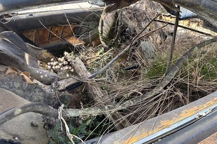 Ban đầu, chiếc Acura NSX được rao bán với giá 6.000 USD. Tuy nhiên, hiện đã có người đồng ý mua chiếc xe này với giá lên đến 8.500 USD (khoảng 201 triệu đồng). Chủ nhân mới của chiếc xe này sinh sống tại bang Maryland của Mỹ. Người này khẳng định sẽ cố gắng phục hồi chiếc Acura NSX.