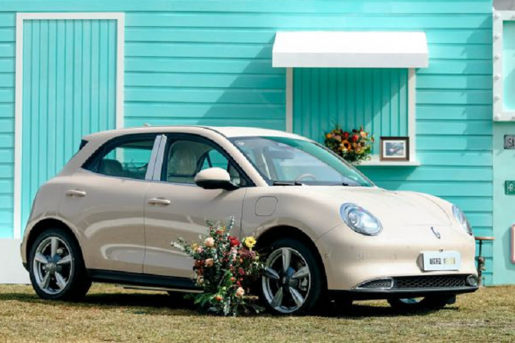 Xe có 4 chế độ lái là Sport, Eco, Eco+ và Auto. Phiên bản Pro dùng pin lithium-ion photphat (LFP) với dung lượng 47,8 kWh trong khi phiên bản Ultra được trang bị pin lithium Ternary 63,1 kWh. Quãng đường di chuyển của xe sau khi sạc đầy pin lần lượt là 400 km và 500 km theo chu trình thử nghiệm NEDC.